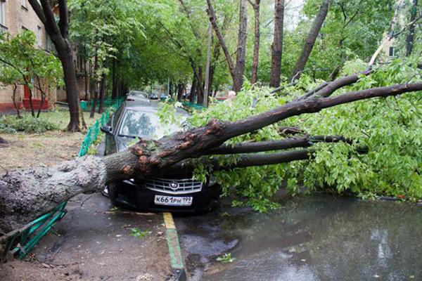 Ураган в Москве унес жизни одиннадцати человек