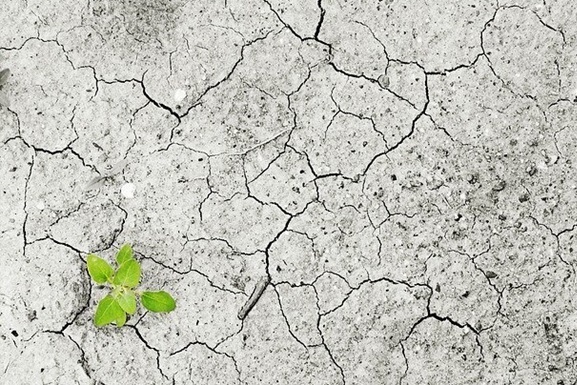 Земля станет непригодной для жизни через 500 лет: исследование 