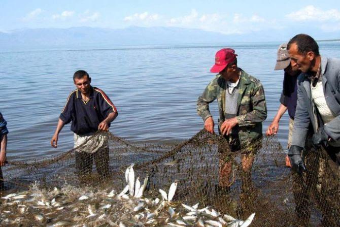 Սևանա լճում ձկան և խեցգետնի որսը շուրջ մեկ ամսով կարգելվի 